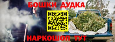 СК Краснодар